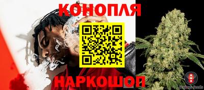 индика Можайск