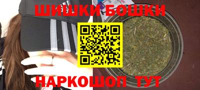 индика Можайск