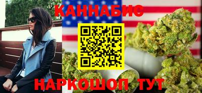 индика Можайск