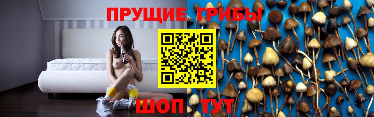 Галлюциногенные грибы MAGIC MUSHROOMS  Галлюциногенные грибы Psilocybine cubensis  Вход с VPN  Губкинский 